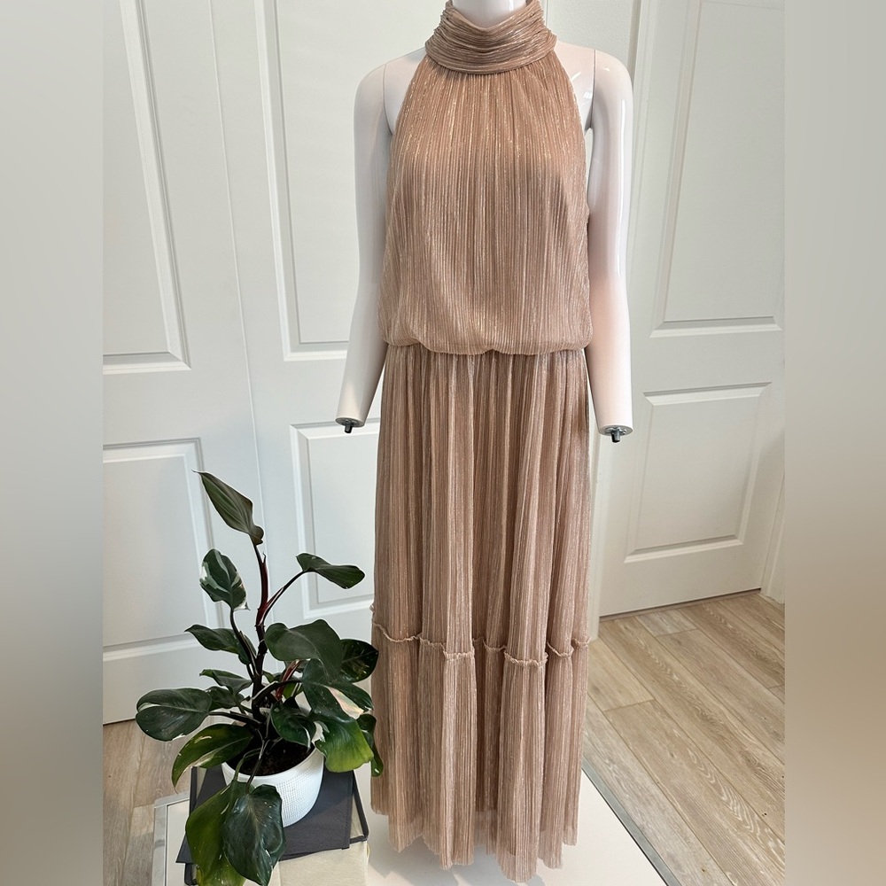 Champagne sparkle formal dress